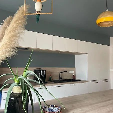 D'architecte Avec Piscine A 800m De La Villa